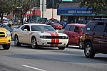 DSC_0801.JPG
