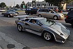 DSC_0924.JPG