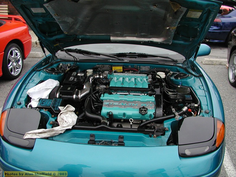 P5030579.JPG