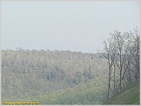 P5010380.JPG