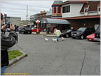 P5030510.JPG