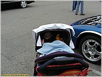 P5030551.JPG