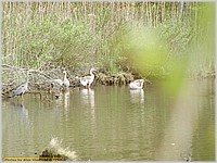 P5030643.JPG