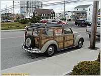 P5040692.JPG