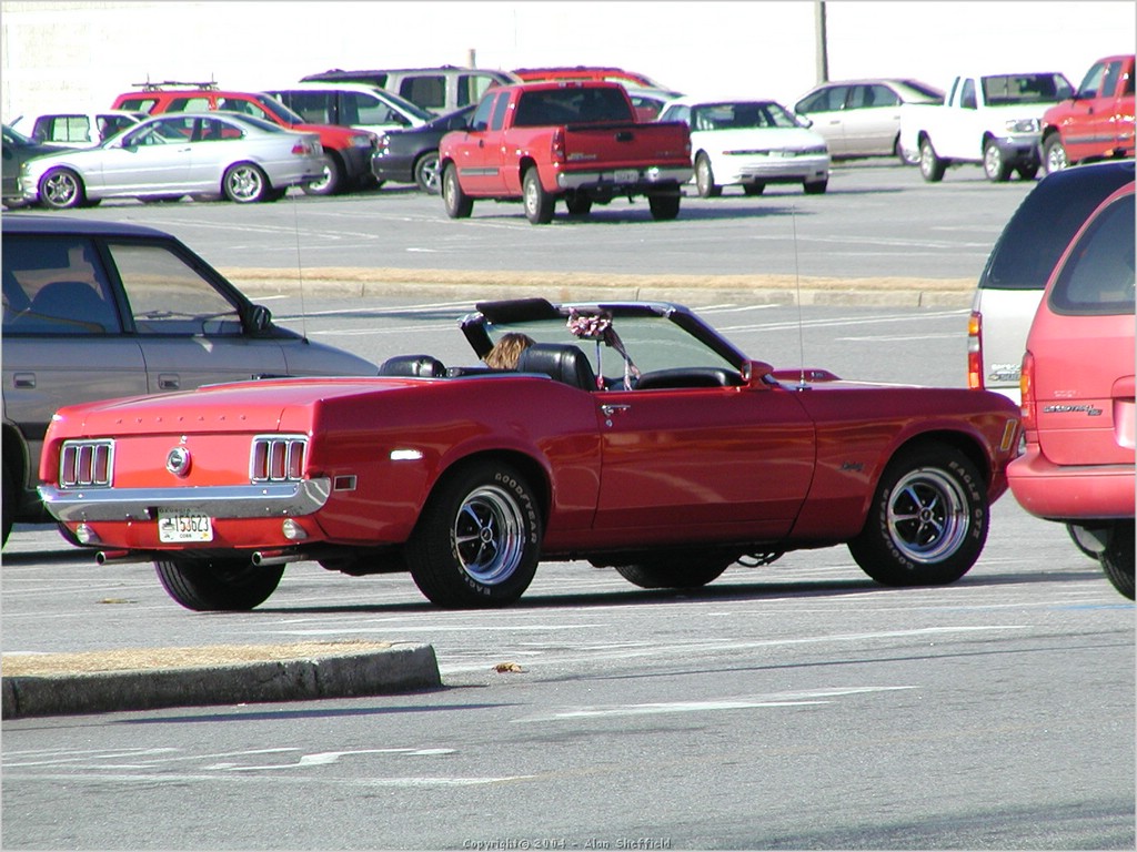 P2211817.JPG