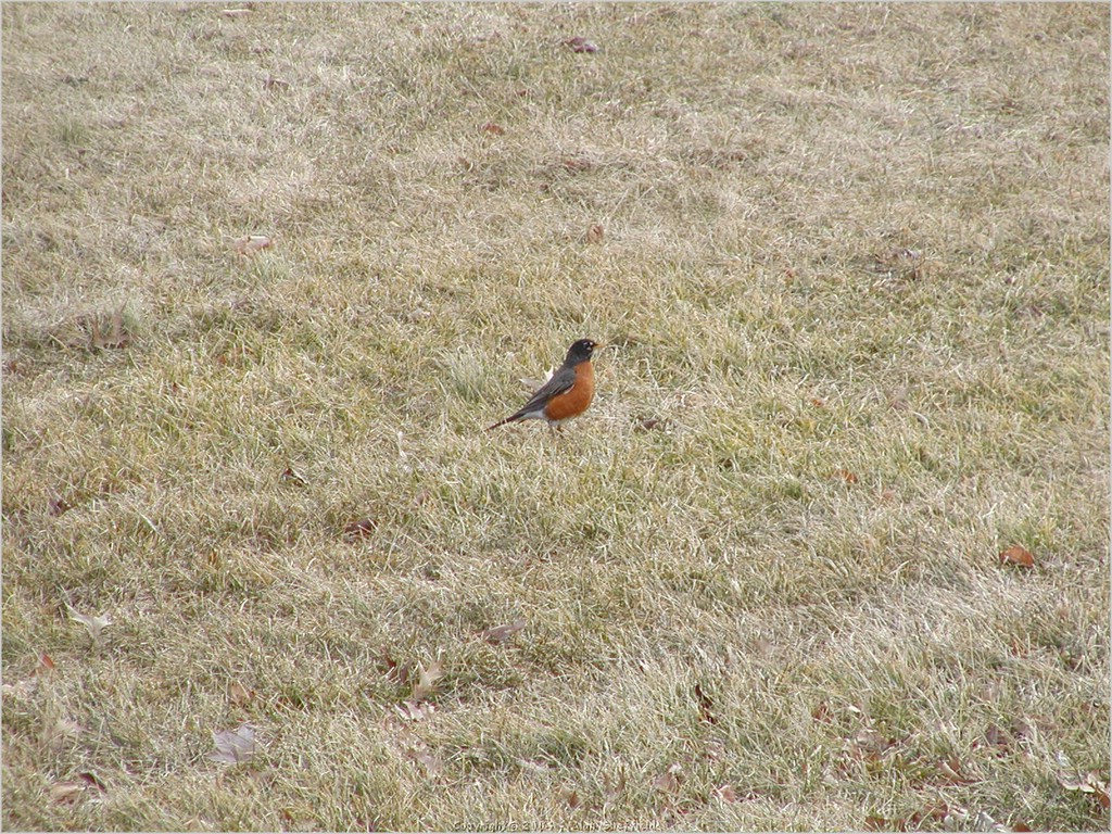 P2221818.JPG