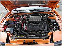 P7163486.JPG