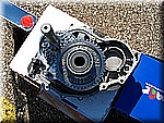 IMG_2346.JPG