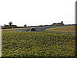 IMG_2433.JPG