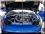 IMG_2494.JPG