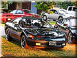IMG_2731.JPG