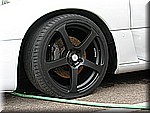 IMG_3079.JPG