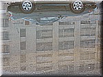 IMG_3126.JPG