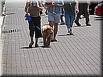 IMG_3300.JPG