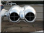 IMG_3431.JPG