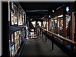 IMG_3485.JPG