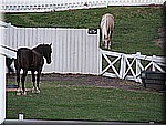 IMG_3509.JPG
