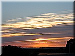 IMG_3552.JPG