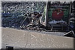 DSC_0339.JPG