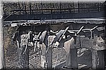 DSC_0341.JPG
