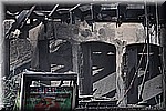 DSC_0342.JPG