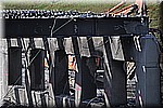 DSC_0343.JPG