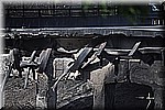 DSC_0368.JPG