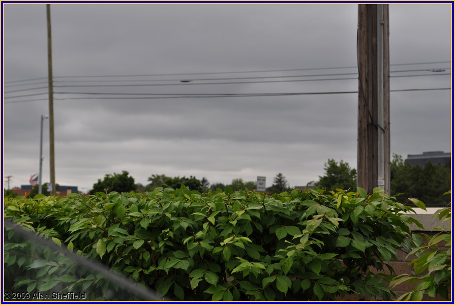 DSC_0039.JPG