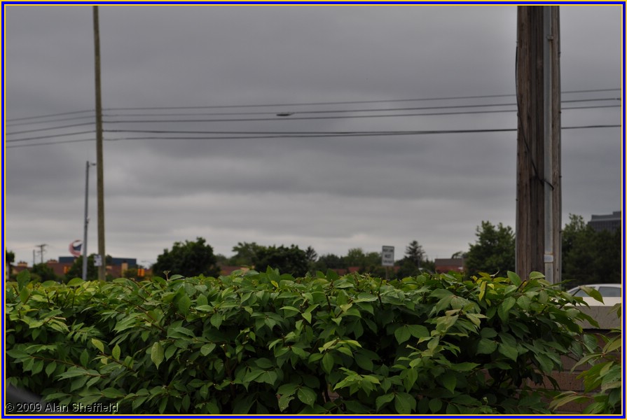 DSC_0040.JPG