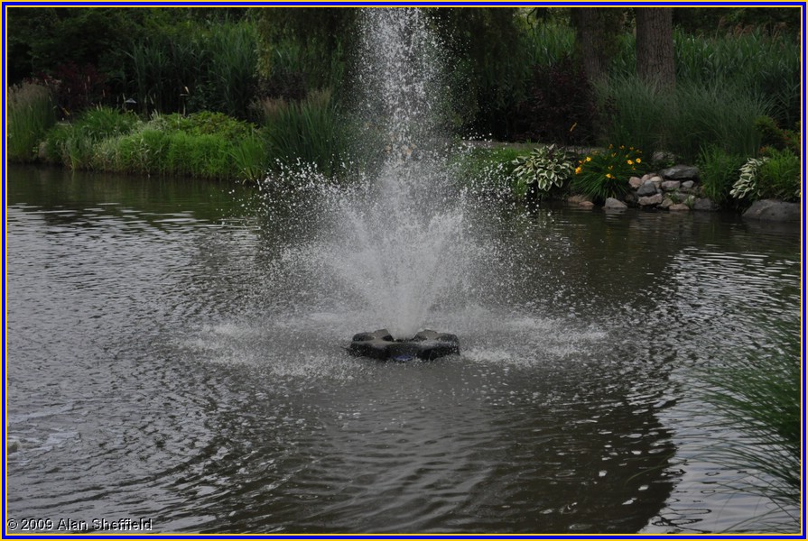 DSC_0045.JPG