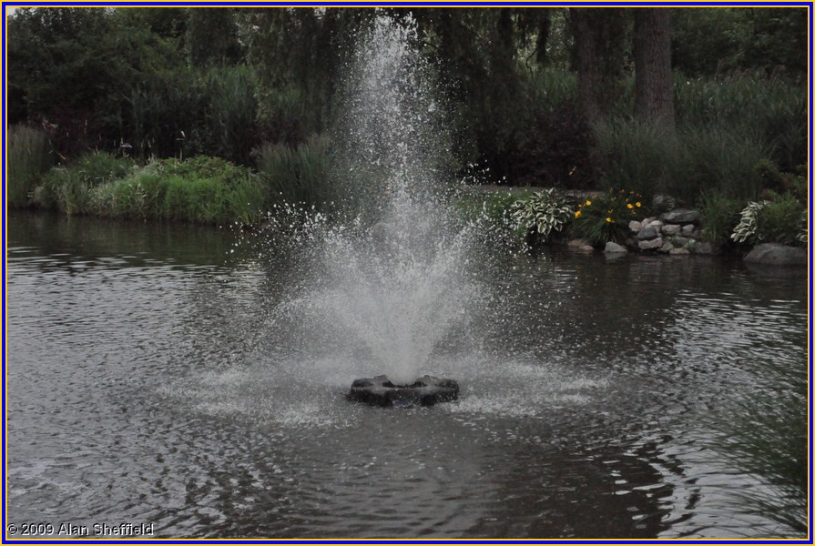 DSC_0046.JPG