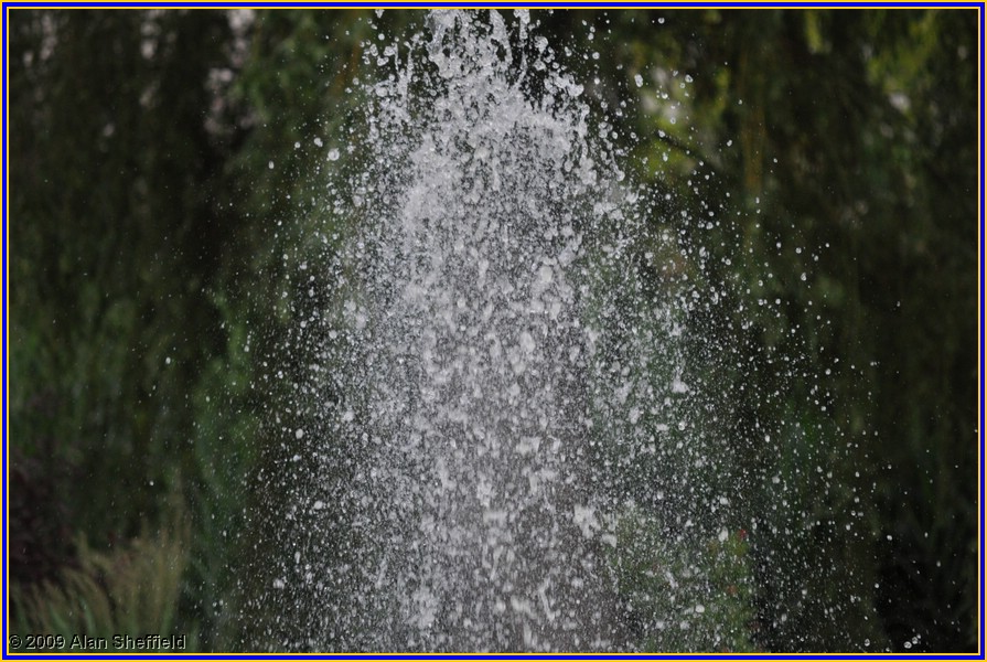 DSC_0060.JPG