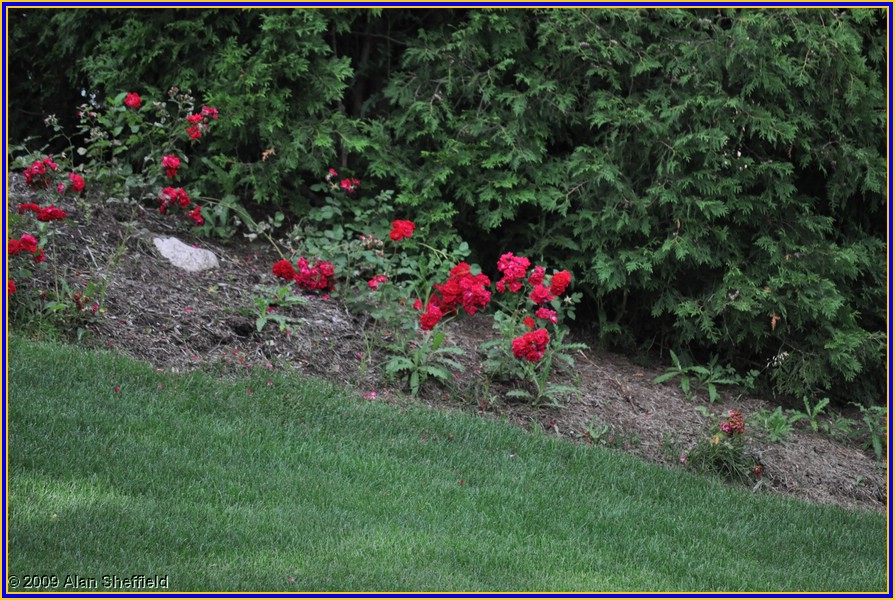 DSC_0065.JPG