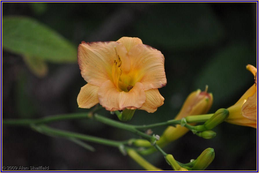 DSC_0068.JPG