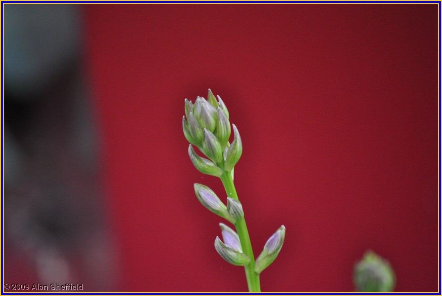 DSC_0071.JPG