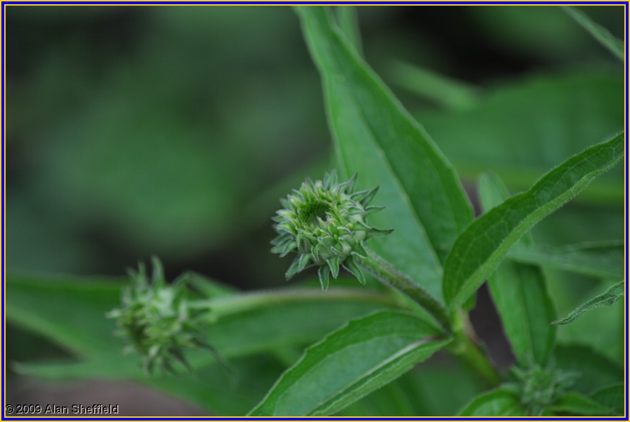 DSC_0076.JPG