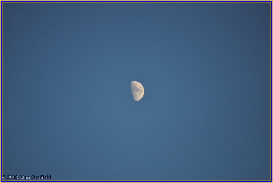 dsc_0105.JPG