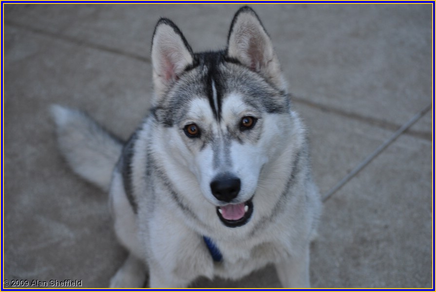 dsc_0111.JPG