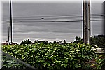 DSC_0039.JPG