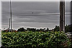 DSC_0040.JPG