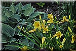 DSC_0043.JPG
