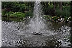 DSC_0044.JPG