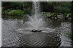 DSC_0045.JPG
