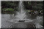 DSC_0046.JPG