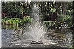 DSC_0062.JPG