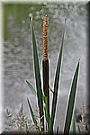 DSC_0078.JPG