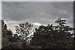 DSC_0084.JPG
