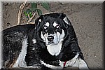 dsc_0108.JPG
