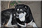 dsc_0109.JPG