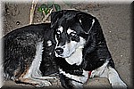 dsc_0110.JPG